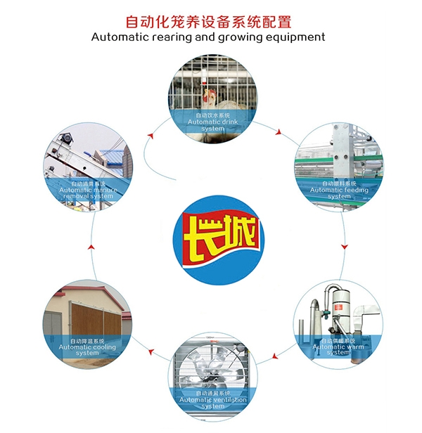 山东肉鸡自动饮水系统
