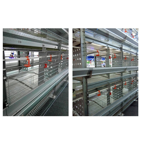 山东层叠式种鸡笼养设备